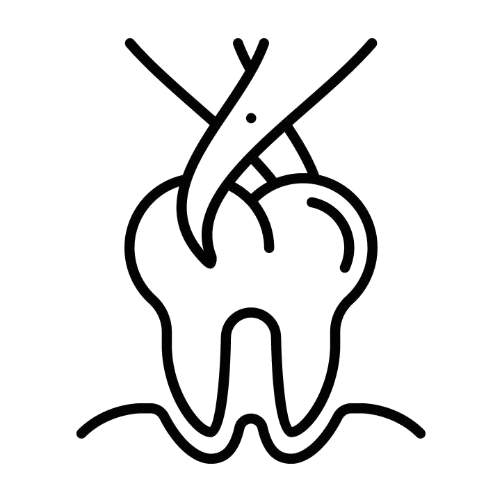 Extractions icon
